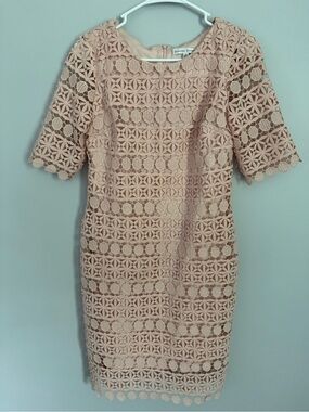 Sandra Darren Pink Blush Crochet Midi Dress